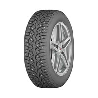 205/55  R16  Arivo  Ice Claw ARW4 шип 94T XL